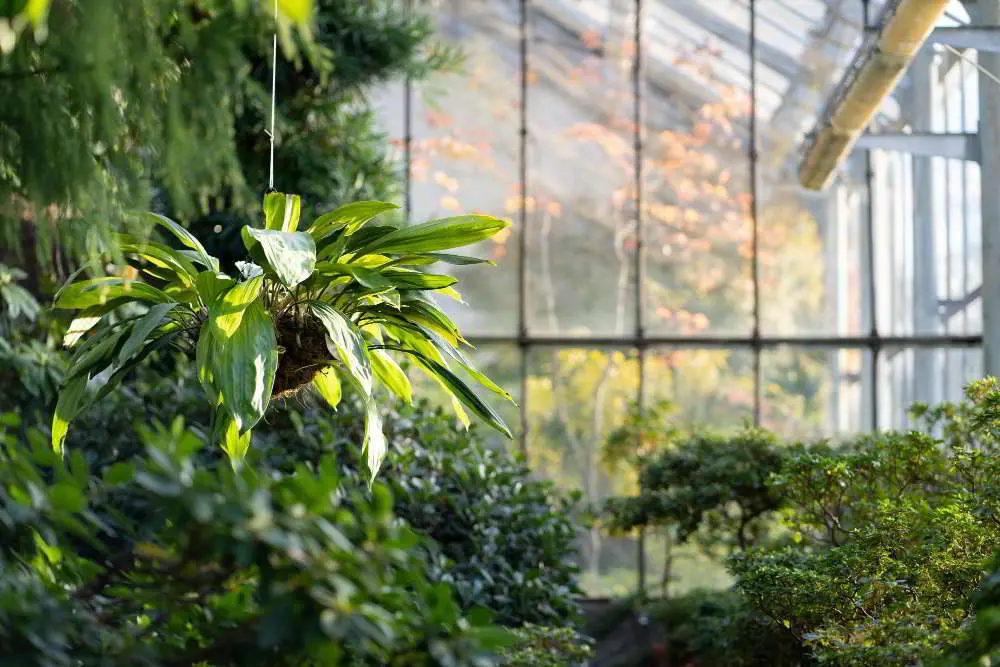 Bästa Växthusen för Alla Trädgårdar - recensioner och tips